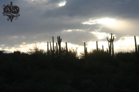 desert sunsets 2011 (28)